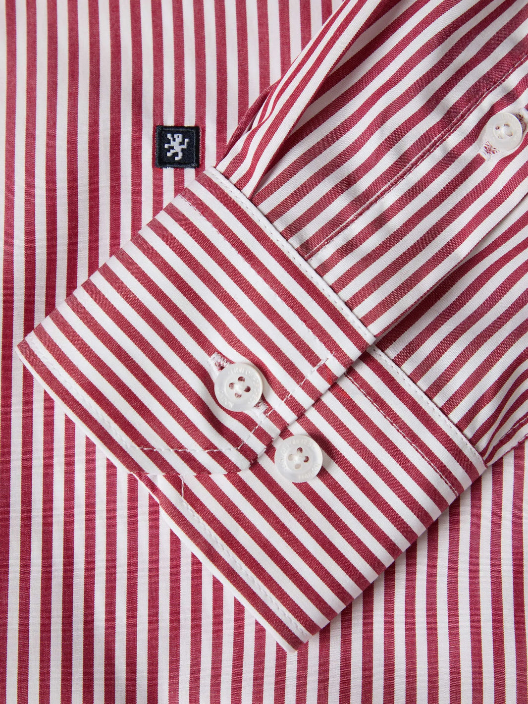 Camisa Lion of Porches