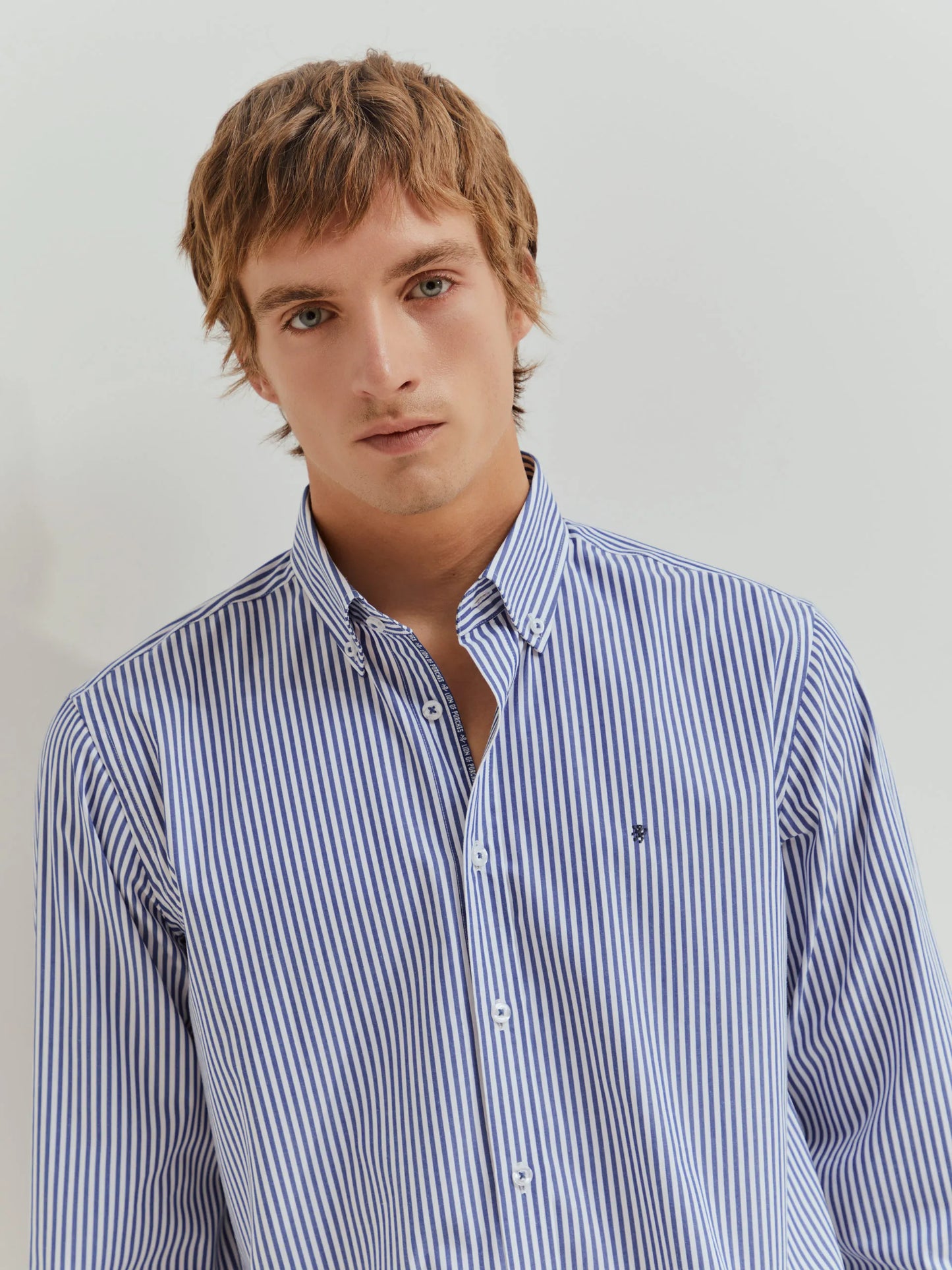 Camisa Lion of Porches