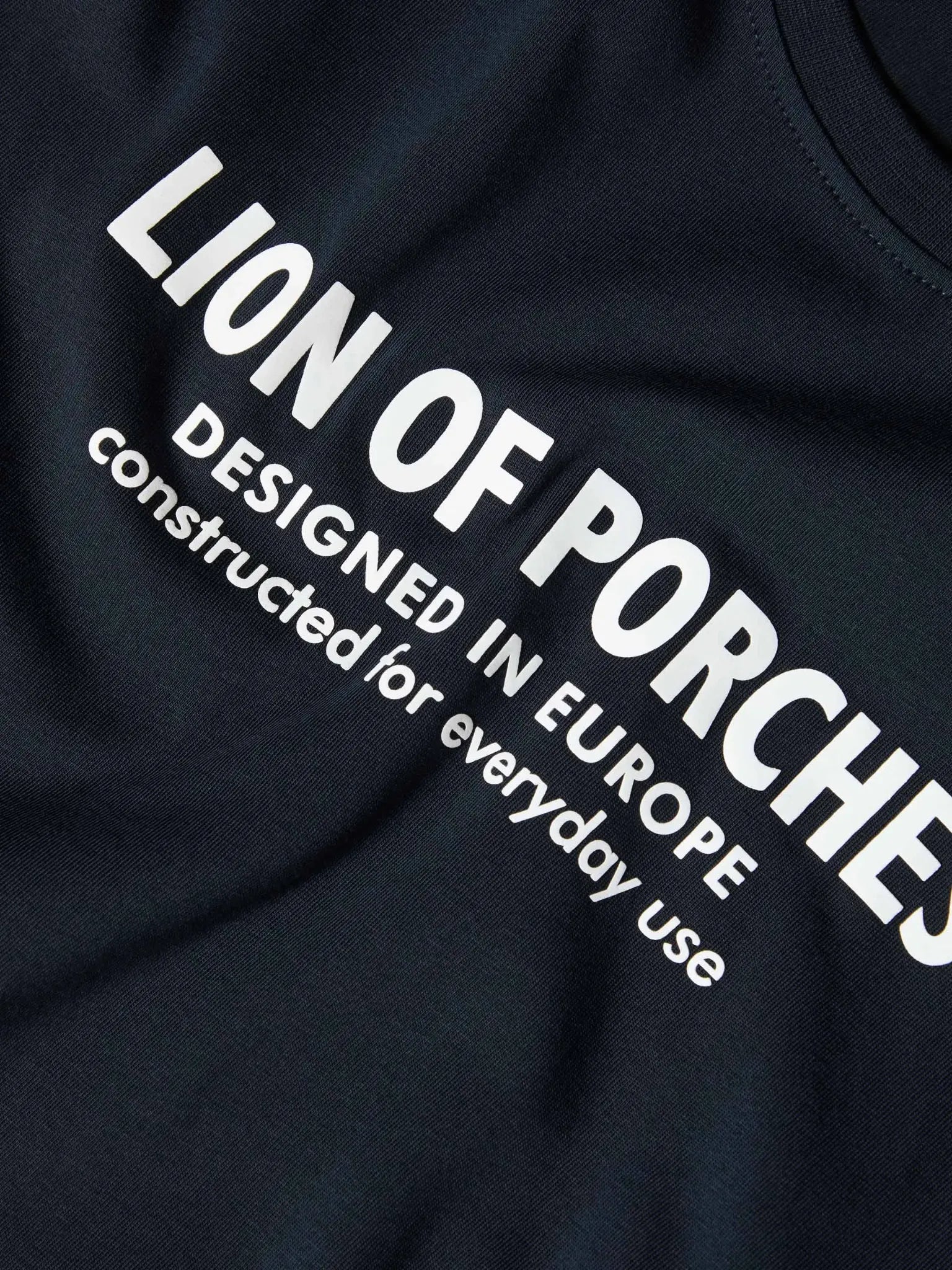 Detalhe do lettering da T-shirt Lion of Porches