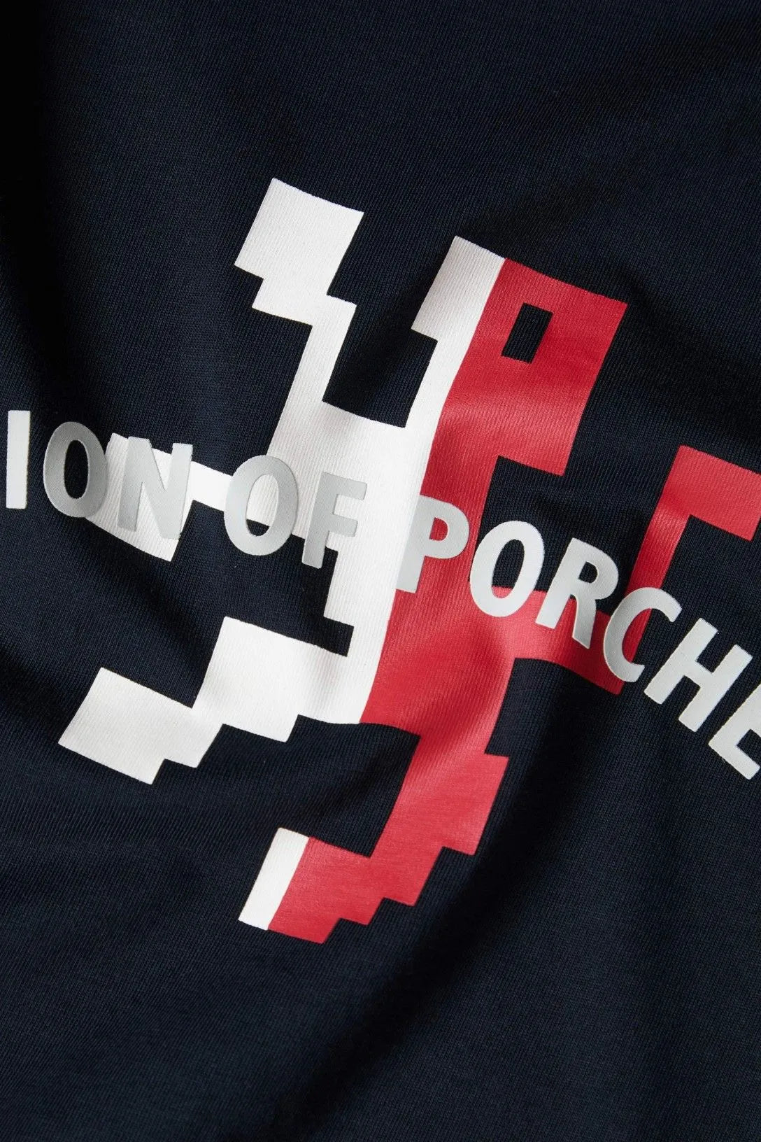 Detalhe do grafismo da T-shirt Lion of Porches